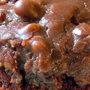 May include: A close-up of a chocolate cake with a rich chocolate frosting. The cake is topped with pecans and has a slightly crumbly texture.