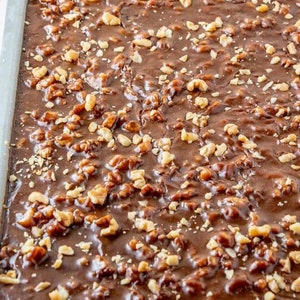 May include: A close-up of a chocolate cake topped with chopped walnuts. The cake is in a baking pan and has a shiny, glossy chocolate glaze.