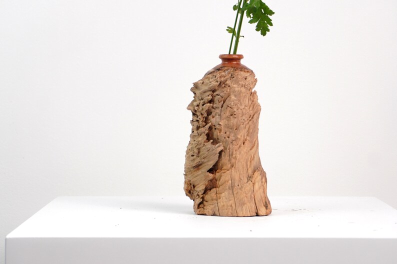 Wabisabi Handmade Wooden Vase Dali Ironwood Home Decor Etsy