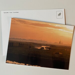 Carte postale Polder