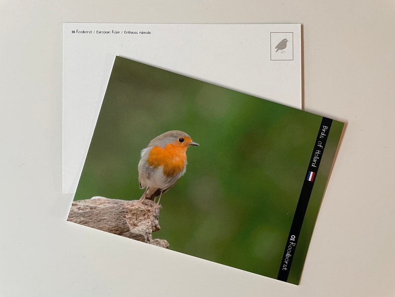 16 Postcards for Postcrossing Etsy