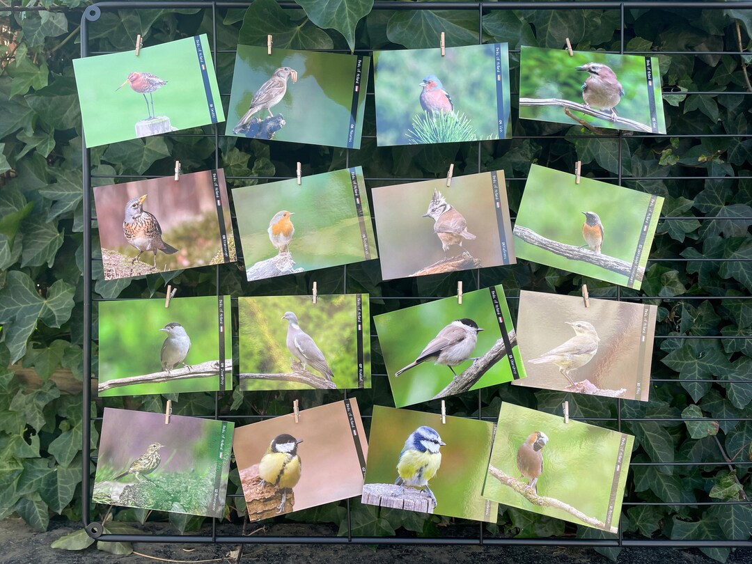 16 Postcards for Postcrossing Etsy