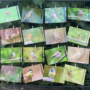 16 cartoline per Postcrossing