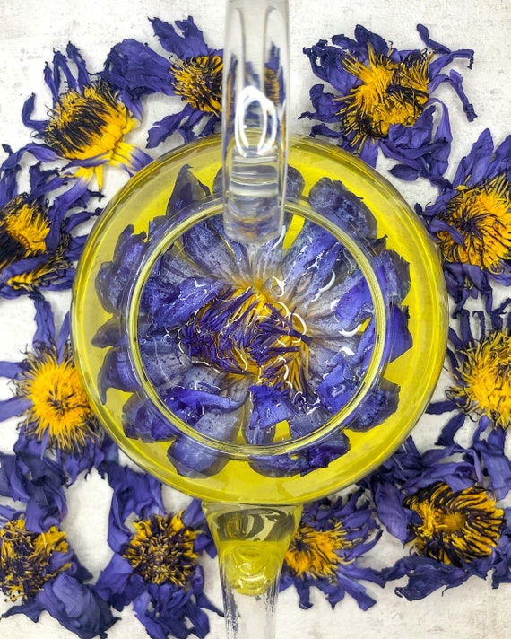 Blue Lotus for Tea NEW Lotus Flower Tea nymphaea Caerulea Hand
