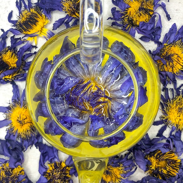 Blauer Lotus für Tee NEU!!! - Lotus Blumentee (Nymphaea caerulea) - Handgepflückter Lotus - frische Ernte 2023 - chinesischer Teetradition