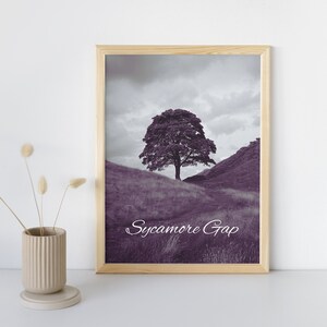 Vibrant print of Sycamore Gap Hadrian's wall tree Northumberland downloadable digital files art print, historic view