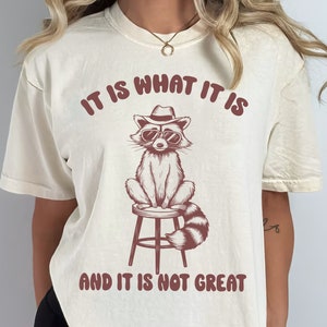 It is Not Great PNG, Funny Raccoon Svg, Retro Svg, Trash Panda Svg, Meme Svg, Funny Racoon Svg, Animals Lover Svg, Funny Saying Png