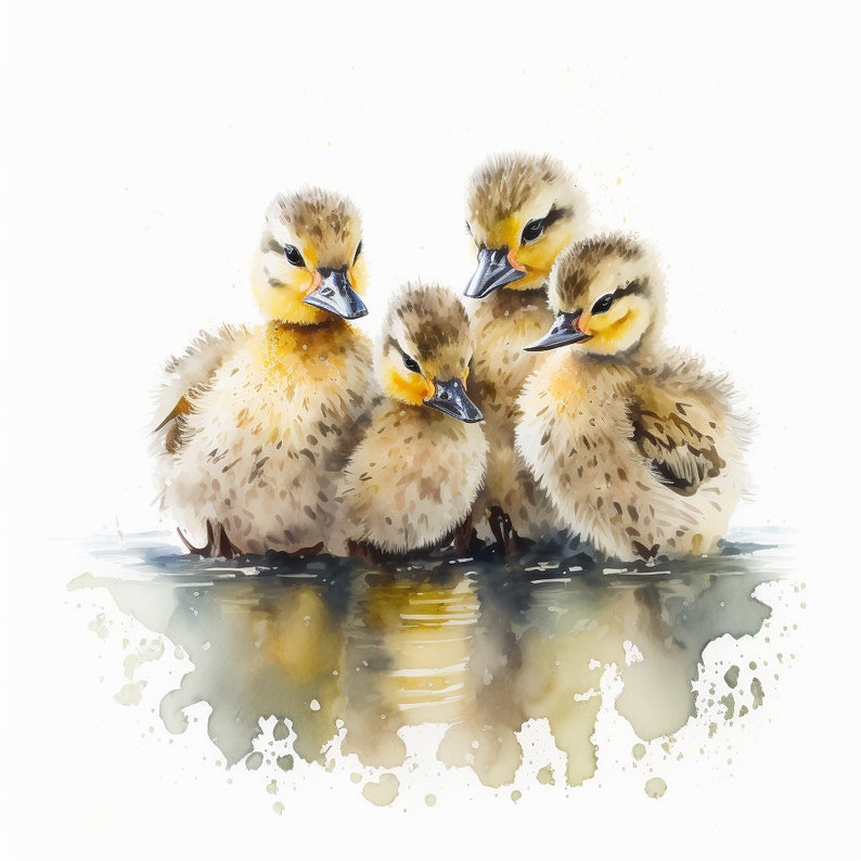 Fluffy Entenküken Clipart 12 hochwertige PNGs Aquarell - Etsy.de