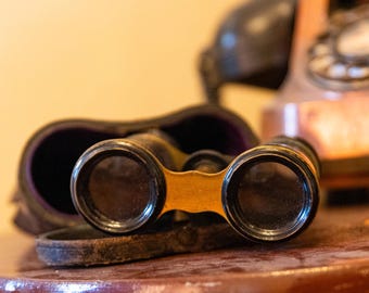 French Antique Binoculars, Opera Glasses, In Original Leather Glass, Purple Satin Lining