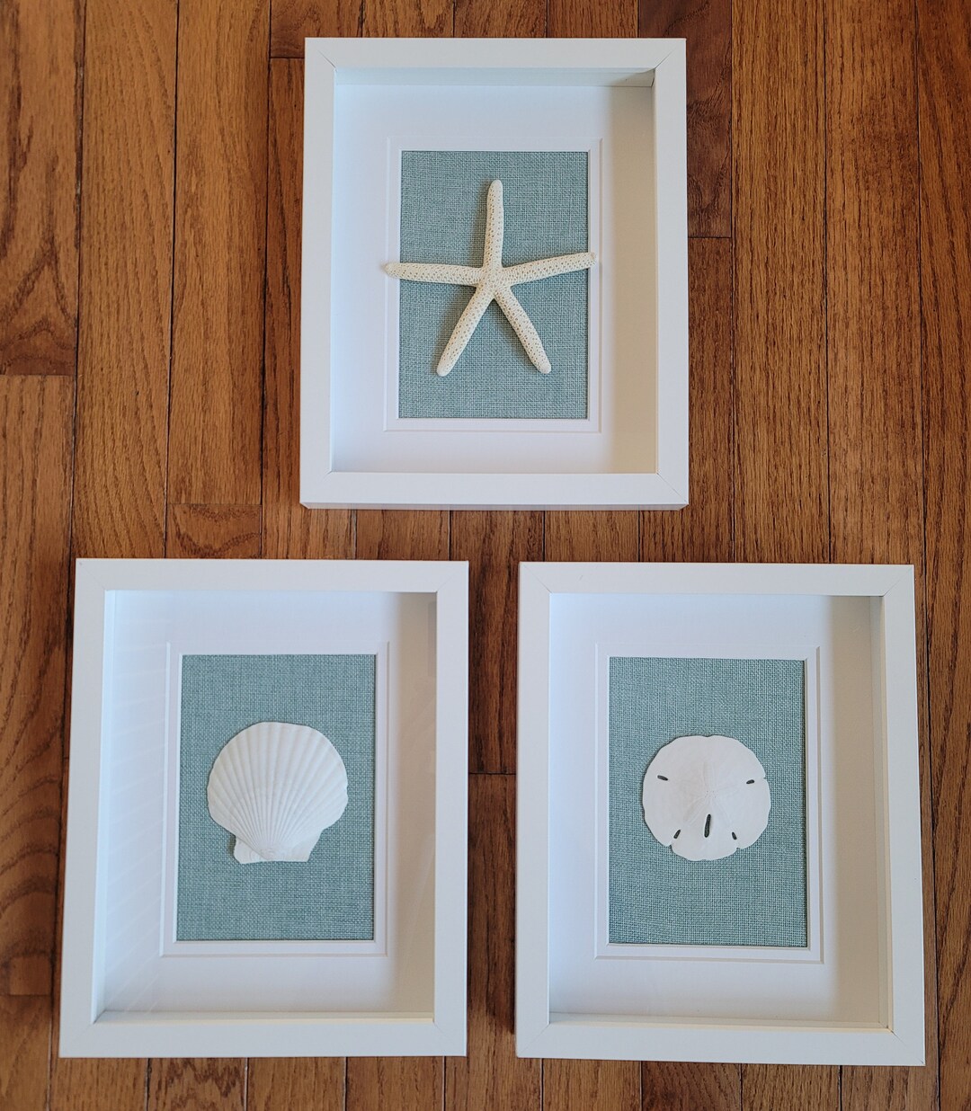 NEW Real Sand Dollar Starfish Seashell 8"x10" Shadow Box Wall Bathroom ...