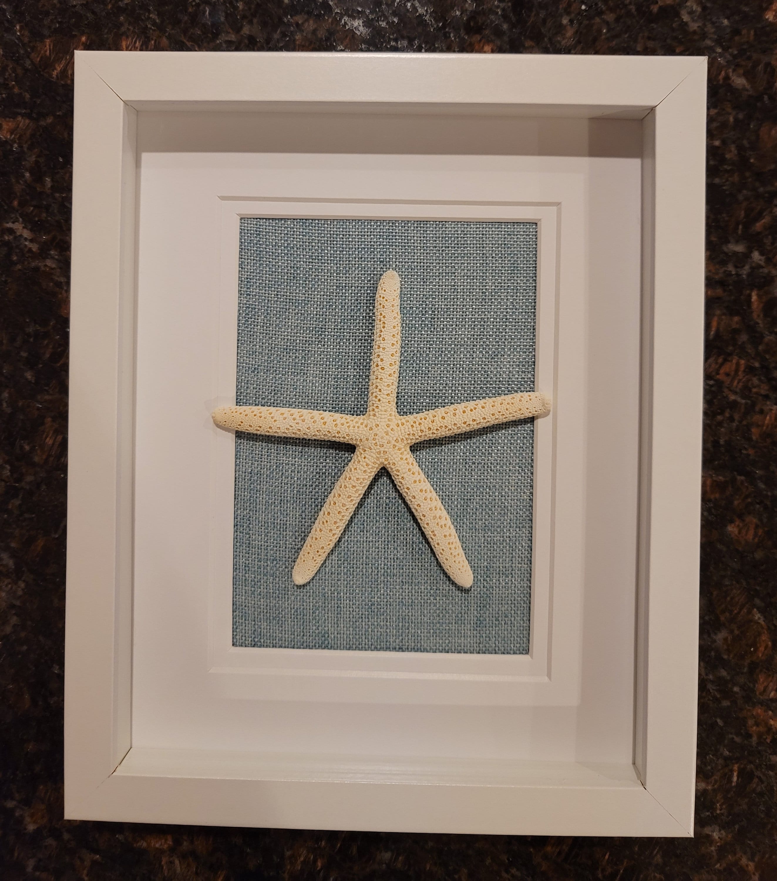 NEW Real Sand Dollar Starfish Seashell 8"x10" Shadow Box Wall Bathroom ...