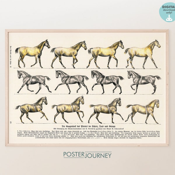 Horse Walking Technique Illustration: Trot and Gallop | Colorful Lithography Print | Printable Wall Art | Vintage Poster | DIGITAL Download