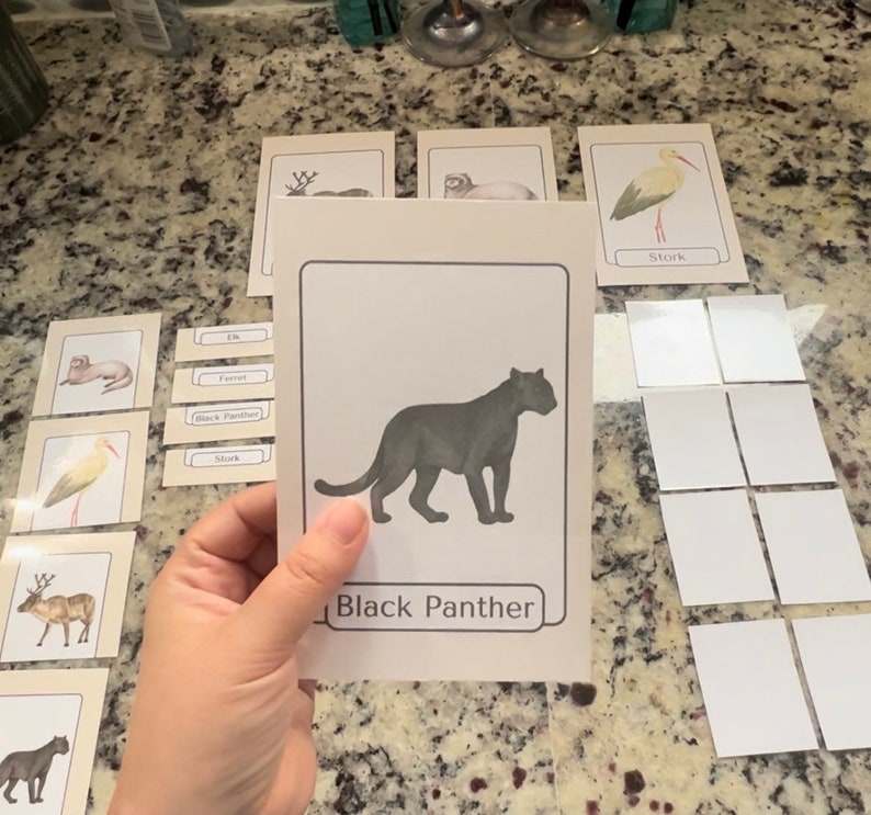 100 Printable Nomenclature Animal Flashcards - Etsy
