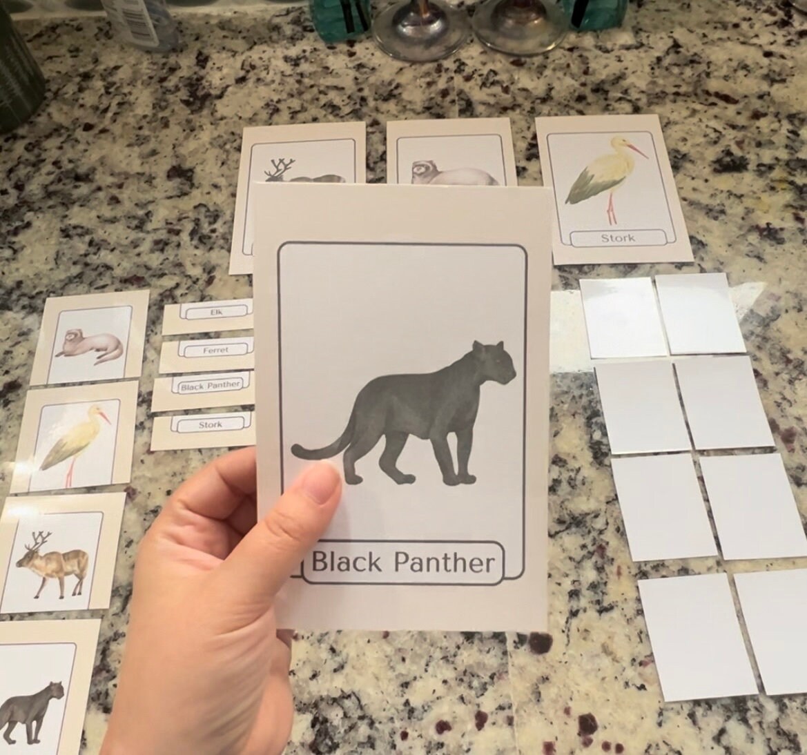 100 Printable Nomenclature Animal Flashcards - Etsy
