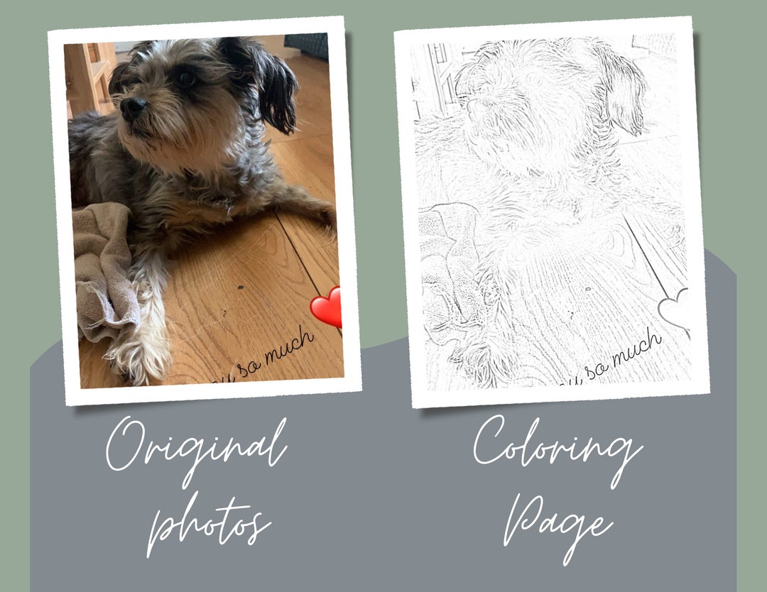 Make Your Own Coloring Pages From Photos-20 Photos Downloadable - Etsy