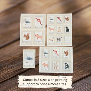 100 Printable Nomenclature Animal Flashcards - Etsy