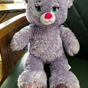Puede incluir: Un oso de peluche lavanda con una nariz rosa, ojos verdes y un hocico blanco. El oso tiene una textura suave y esponjosa y detalles decorativos en sus patas. El oso est&aacute; sentado en una silla verde oscuro.