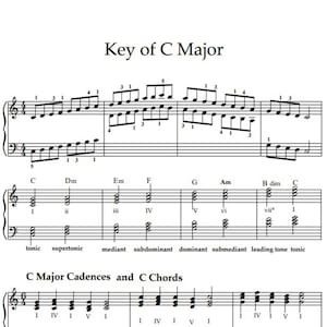 C Major Scale, Primary Cadences & Chord Examples | Printable PDF Music Theory Sheet