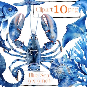 Blauwe zee clipart, nautische clipart. Oceaan clipart. Zee-illustraties, png. Zeedieren, vissen, kreeften, koraal. Digitale aquarel. Gratis commercieel gebruik
