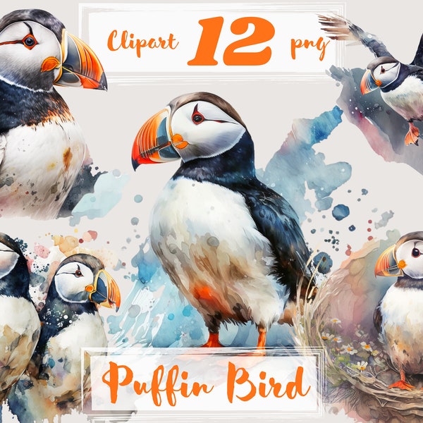 Puffin Bird clipart. Cute birds clip art, png. Digital watercolor. Free commercial use. Puffin Clipart. Bird Nursery Decor. Icelandic birds.