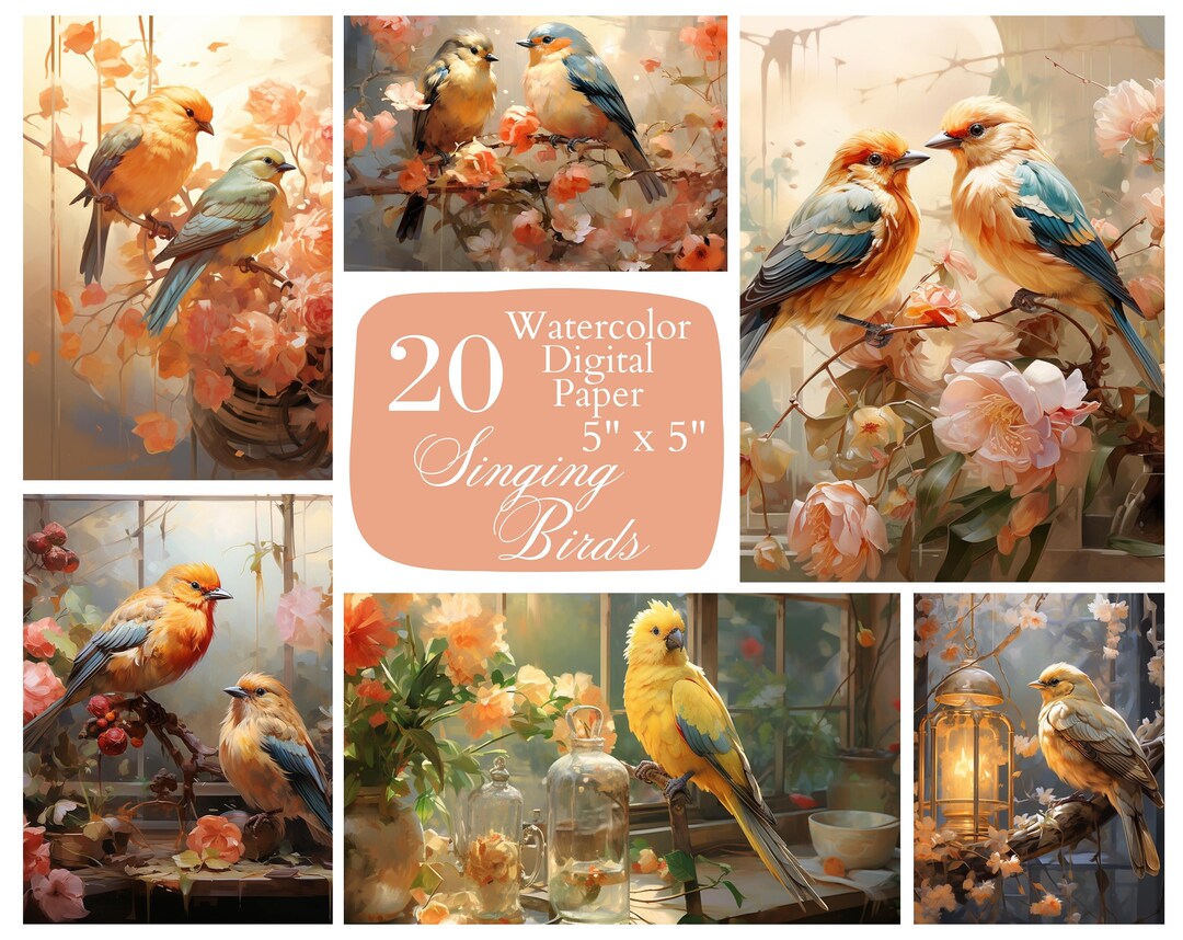 Bird Digital Paper, Floral Clipart. Bird Clipart, Watercolor ...