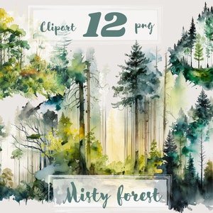 Bos clipart, houten illustraties, png. Digitale aquarel. Gratis commercieel gebruik. Zomer mistig boslandschap. Bomen Groen Mistige Achtergronden