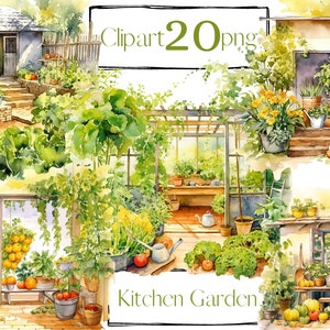 Tuin clipart, moestuin clip art, groenten, kas, png. Digitale aquarel. Gratis commercieel gebruik. Zomer, Boho bloemen groen