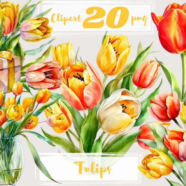 Tulip clipart. Spring clipart. Floral clipart, Field, garden, blooming, PNG.  summer, flowers. Digital watercolor. Free commercial use.