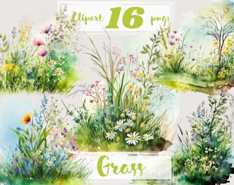 Grass clipart. Spring clipart. Floral clipart, Field, garden, blooming, PNG.  summer, flowers. Digital watercolor. Free commercial use.