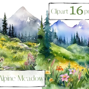 Alpenweide clipart, veld clipart. Gras clipart. Bloemen clipart, PNG. zomer, bloem, berg. Digitale aquarel. Gratis commercieel gebruik