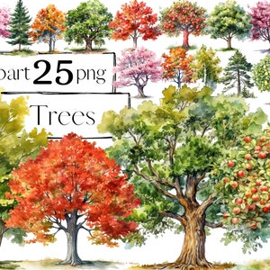 Clipart de árvores, clipart de jardim, abeto, carvalho, maçã, pinheiro, floresta, png. Aquarela digital. Uso comercial gratuito. Verdura de verão