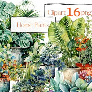 Kamerplanten Clipart. Ingemaakte bloemen clipart, huis, kamerplanten. Bloemenclipart PNG. Zomer. Digitale aquarel. Gratis commercieel gebruik.