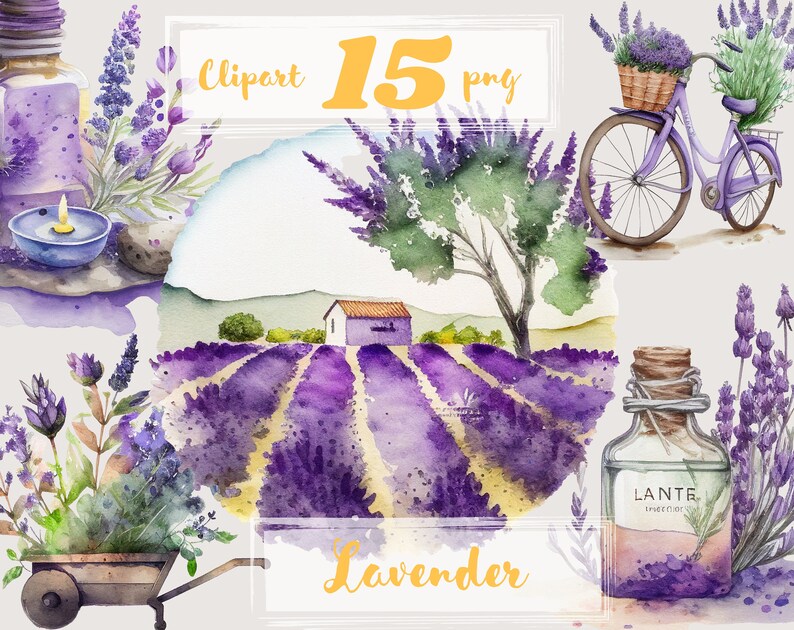 Puede incluir: Conjunto de clipart de acuarela de flores de lavanda, una bicicleta con una cesta de lavanda, una botella de aceite de lavanda, una vela, una casita y un campo de lavanda. El clipart es perfecto para crear invitaciones, tarjetas y otras manualidades.