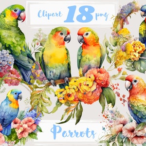 Papegaai clipart. Tropische clipart. Bloemen clipart, vogel clip art, PNG. zomerrust, vakantie. Digitale aquarel. Gratis commercieel gebruik.