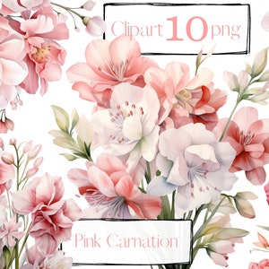Roze bloemen PNG, aquarel bloemen clipart boeketten, boho boeketten, vintage bloemen, anjer, gratis commercieel gebruik, digitale clipart PNG
