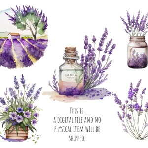 Puede incluir: Ilustraci&oacute;n de acuarela de flores de lavanda en varios arreglos. La ilustraci&oacute;n incluye un campo de lavanda, un ramo en un frasco, una botella de aceite esencial de lavanda y una planta de lavanda en maceta. El texto "Este es un archivo digital y no se enviar&aacute; ning&uacute;n art&iacute;culo f&iacute;sico." est&aacute; incluido en la imagen.