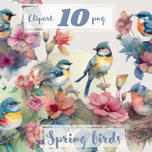 Lente vogel clipart, florale illustraties, png. Aquarel clipart. Gratis commercieel gebruik. Rustieke bruiloft, boeketten, boho, bohobloemen, tuin