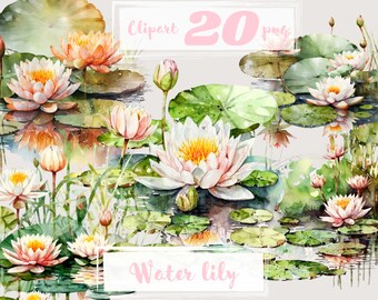 Imágenes prediseñadas de lirio de agua. Imágenes prediseñadas de nenúfar. Clipart floral, nenuphar, estanque, PNG. descanso de verano, loto. Acuarela digital. Uso comercial gratuito.