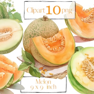 Imágenes prediseñadas de melón, imágenes prediseñadas de frutas, arte de acuarela, transparente, png. Acuarela digital. Uso comercial gratuito. Scrapbooking, tropical, verano.