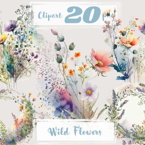 Wilde bloemen clipart. Gras clipart. Zomer clipart. Floral clipart, veld, tuin, bloeiend, PNG. Digitale aquarel. Gratis commercieel gebruik.