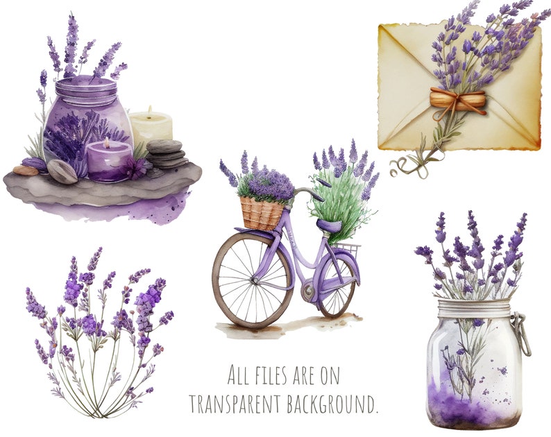 Puede incluir: Un conjunto de ilustraciones de acuarela con flores de lavanda en varios arreglos. El conjunto incluye un frasco de lavanda, una bicicleta con una cesta de lavanda, un frasco de lavanda y un sobre con un ramo de lavanda. Todos los archivos est&aacute;n sobre un fondo transparente.