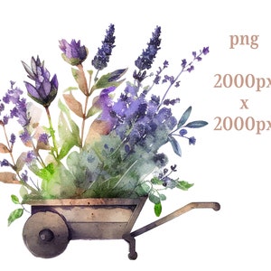 Puede incluir: Una pintura de acuarela de una carretilla de madera llena de un ramo de flores de lavanda p&uacute;rpura y follaje verde.