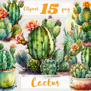 Cactus-illustraties, sappige clipart, bloemenillustraties, png. Digitale aquarel. Gratis commercieel gebruik, scrapbooking. Cactusillustratie.