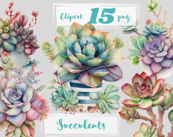Conjunto de imágenes prediseñadas de suculentas en acuarela, uso comercial (descarga digital)