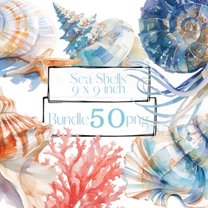 Imágenes prediseñadas de concha de mar, paquete náutico. Imágenes prediseñadas del océano. Imágenes prediseñadas de mar, png. Vida marina, peces, langostas, corales. Acuarela digital. Uso comercial gratuito