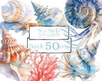 Watercolor Sea Shell Clipart Bundle, Nautical PNG (Digital Download)