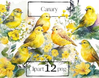 Canary clipart, Yellow bird clipart, floral clip art, png. Digital watercolor. Free commercial use.  Bohemian, Boho flowers, garden