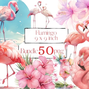 Flamingoclipart. Tropische clipart. Bloemenclipart, vogelillustraties, png.  zomer, feest, vakantie. Digitale aquarel. Gratis commercieel gebruik.