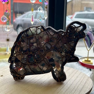 Shadow box Agates-Lake Superior- Wood Box-Rock Storage-Turtle box-Gift for Mom-Gift-Storage Box-Crystal-Rock Glass-Seashells-Treasure Holder
