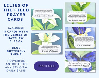 Prayer Cards | Printable | Anti-Anxiety | 5.5 x 4.25 " Notecards | Catholic Prayers | Lilies of the Field | Matthew 6 29-34